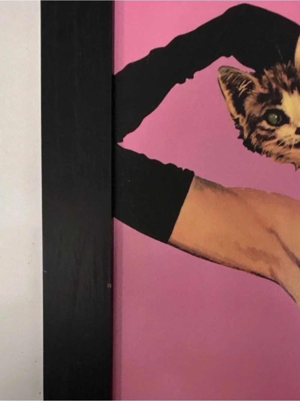 Audrey Hepburn Wooden Frame Breakfast at Tiffany’s Wall Art Pink with Cat